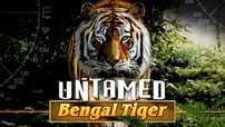 игровой аппарат Untamed Bengal Tiger