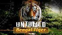 игровой аппарат Untamed Bengal Tiger