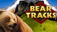 Игровой автомат Bear Tracks
