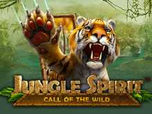 Онлайн слот Дух Джунглей: Зов Дикой Природы в честном казино